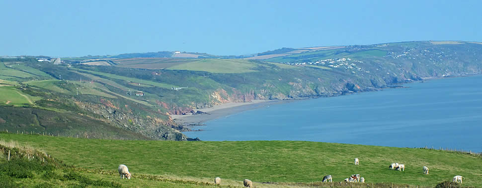 Image 04