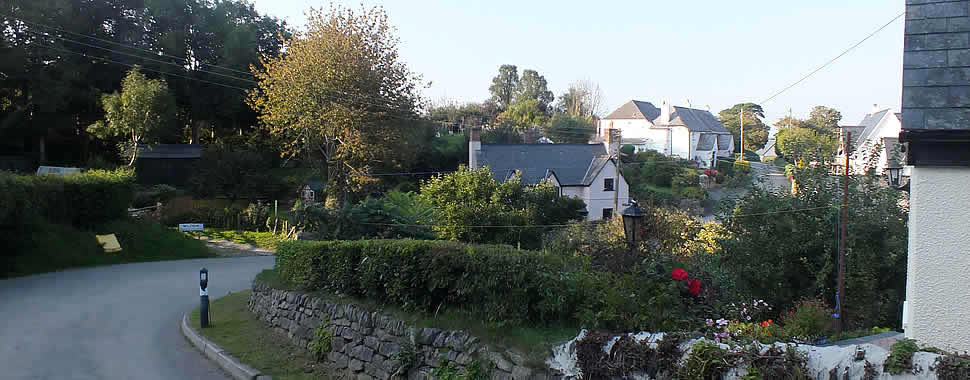 Image 01